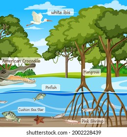 309 Mangrove Animals Stock Vectors, Images & Vector Art | Shutterstock