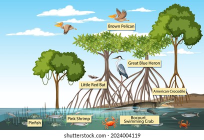 309 Mangrove Animals Stock Vectors, Images & Vector Art | Shutterstock