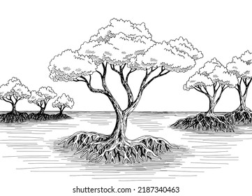 Mangrove jungle forest river graphic black white landscape sketch illustration vector 