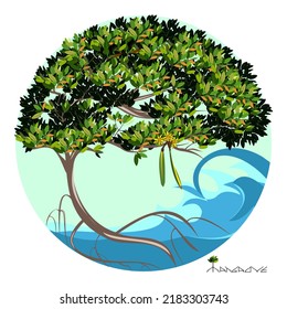 Mangrove plant with sky and sea background. Vector illustrations