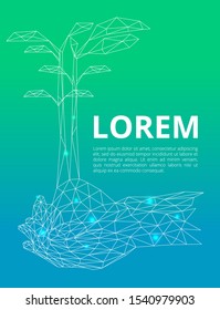 Mangrove seedlings banner background. Lowpoly art vector EPS10 