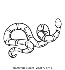 Ícone de linha de cobra mangrove. Contorno desenhado à mão de ouro anilhado gato serpente com anéis na pele, esboço vintage de réptil venenoso tropical. Natureza do pântano, mascote da vida selvagem, ilustração simples do vetor do ícone