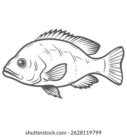 Mangrove Snapper Fish Line Art Illustration