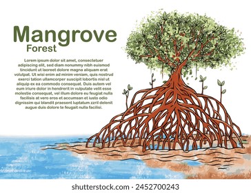 Mangrove Tree Hand Drawing Illustrations