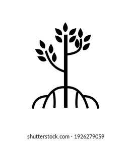 Mangrove Tree Icon, Black And White