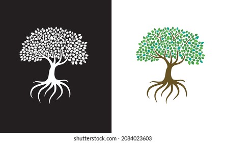 mangrove tree icon vector collections