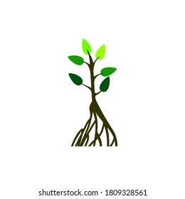 2,560 Mangrove illustration Stock Vectors, Images & Vector Art ...