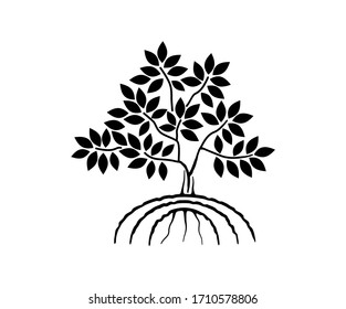 Mangrove tree icon vector isolated