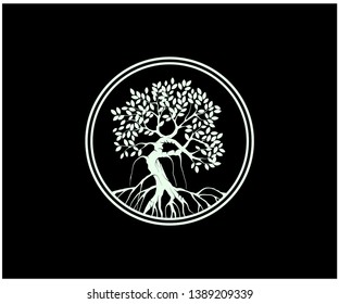 mangrove tree logo with circle lines surrounding it, white color on black background