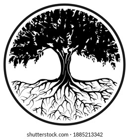 mangrove tree logo with circle lines surrounding it, black color on white background