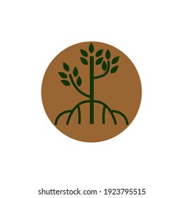 mangrove tree, logo vector with circle shape, iconic logo designs of tree