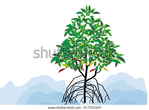 Mangrove Tree On White Background Vector Stock Vector (Royalty Free