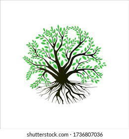 mangrove tree and root isolated vector logo design, tree with round shape
