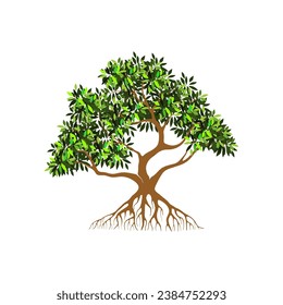 Mangrove tree root vector design, green leaves.