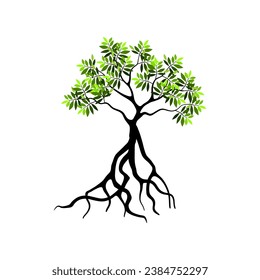 Mangrove tree root vector design, green leaves.