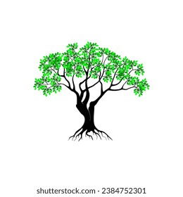 Mangrove tree root vector design, green leaves.