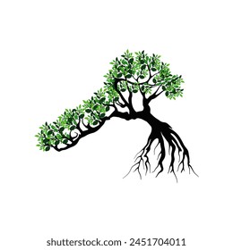 Mangrove tree rooted with shady green leaves. Vector illustration