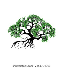 Mangrove tree rooted with shady green leaves. Vector illustration