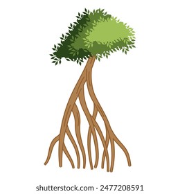 mangrove tree roots environmental isolated