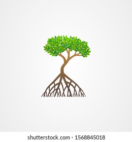 Mangrove tree with roots and green leaves vector illustration.