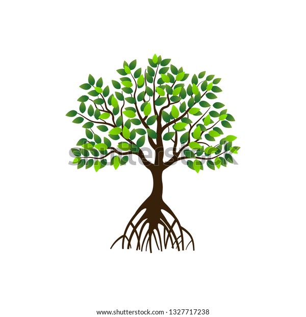 根と緑の葉を持つマングローブの木のベクターイラスト のベクター画像素材 ロイヤリティフリー
