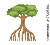 mangrove tree and roots isolated