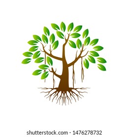 Mangrove Tree and roots logo design vector isolated,  tree with round shape