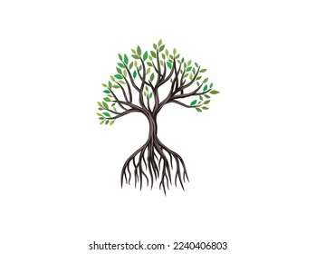 Mangrove Arbre et racines, illustration vectorielle