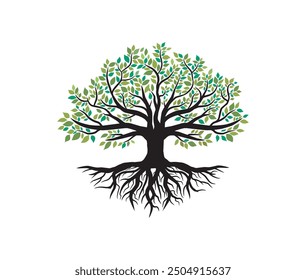 mangrove tree and roots vector illustrations