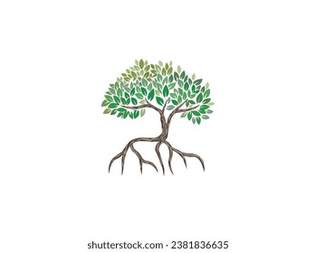 mangrove tree with roots vector image