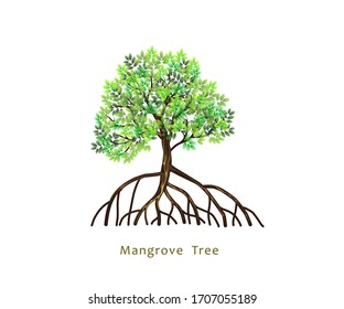 Mangrove tree with strong roots vector illustration. Hand drawn Tree logo with colors, isolated on white background.