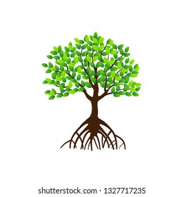 Mangrove Tree Vector, Detailed Tree with Aerial Roots and Lush Foliage Illustration