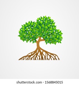 Mangrove Tree Vector, Detailed Tree with Aerial Roots and Lush Foliage Illustration