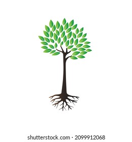 mangrove tree vector icon, isolated on white background. EPS 10.