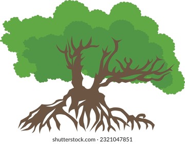 The Mangrove Tree Vector Illustration