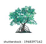 mangrove tree vector illustration isolated on white
