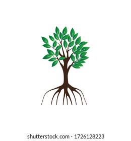 ilustración vectorial de árbol de manglar, aislada en blanco