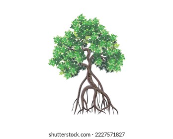 mangrove tree vector illustration isolated on white