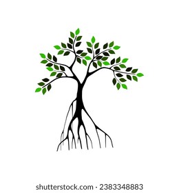 ilustración vectorial de árbol de mangle aislada en blanco