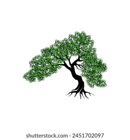 mangrove tree vector illustration isolated on white