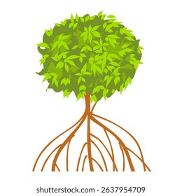 Mangrove tree vector illustration. World environment day concept