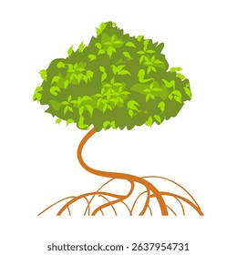 Mangrove tree vector illustration. World environment day concept
