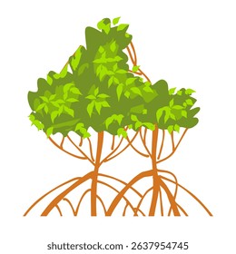 Mangrove tree vector illustration. World environment day concept