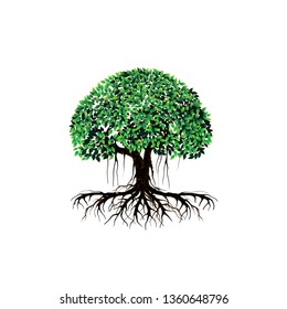 Mangrove tree vector illustrations, tree logo templates