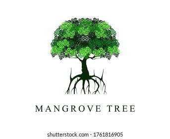 mangrove tree vector isolated on white background