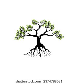 mangrove tree vector isolated, reforestation on shrubland.