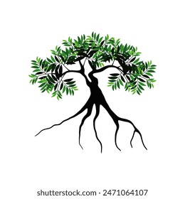 mangrove tree vector isolated, reforestation on shrubland.