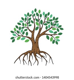 mangrove tree vector on white background