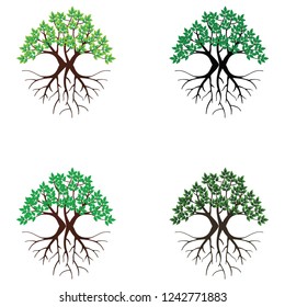 mangrove tree vector set, tree and roots with color sets