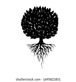 Mangrove Tree Vector Silhouette Black White Stock Vector (Royalty Free ...